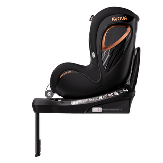 Sperber X 61