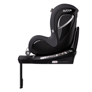 Sperber X 61